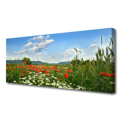 Stampa quadro su tela Prato, fiori, natura