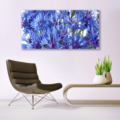 Quadro stampa su tela Fiori, piante, natura