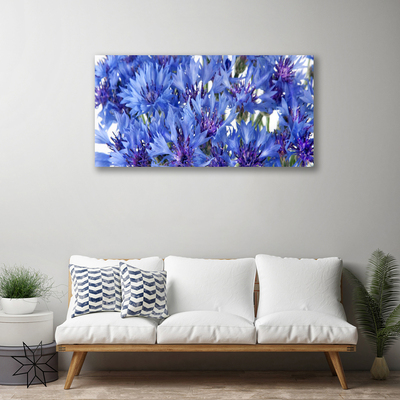 Quadro stampa su tela Fiori, piante, natura