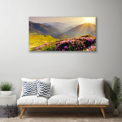 Foto quadro su tela Paesaggio del prato di montagna