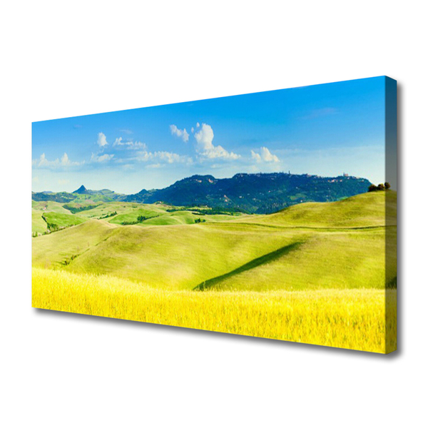 Quadro su tela Paesaggio delle montagne del villaggio