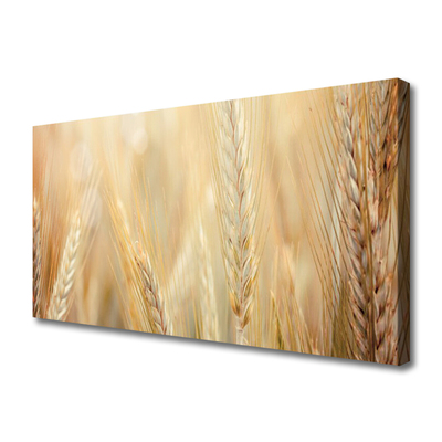 Quadro su tela Grano vegetale naturale