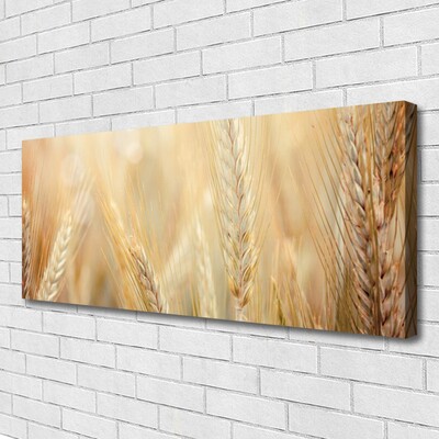 Quadro su tela Grano vegetale naturale