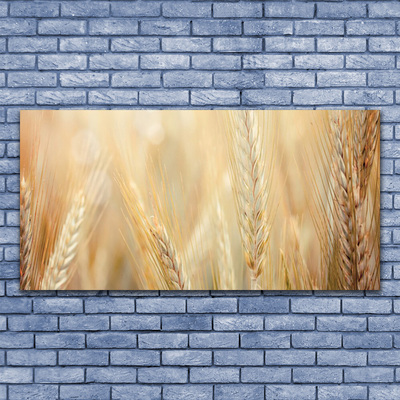 Quadro su tela Grano vegetale naturale