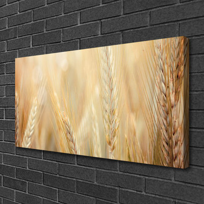 Quadro su tela Grano vegetale naturale