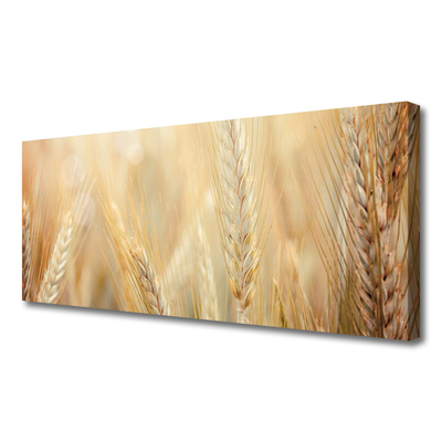 Quadro su tela Grano vegetale naturale