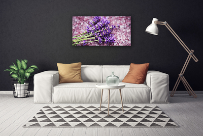 Quadro su tela Fiori, piante, natura