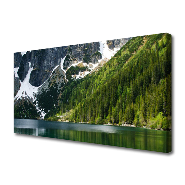 Quadro su tela Paesaggio di montagna del lago forestale