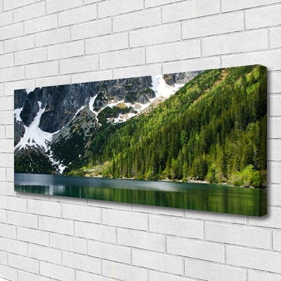 Quadro su tela Paesaggio di montagna del lago forestale