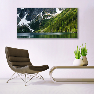 Quadro su tela Paesaggio di montagna del lago forestale