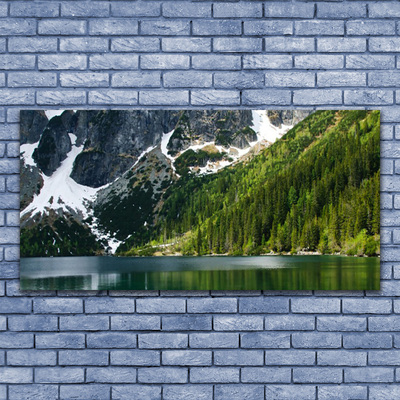 Quadro su tela Paesaggio di montagna del lago forestale