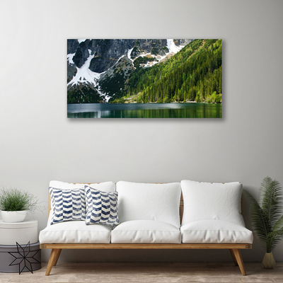 Quadro su tela Paesaggio di montagna del lago forestale