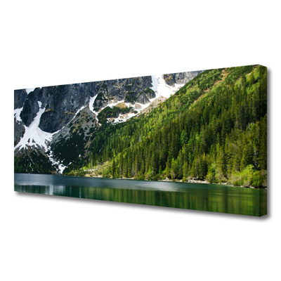 Quadro su tela Paesaggio di montagna del lago forestale