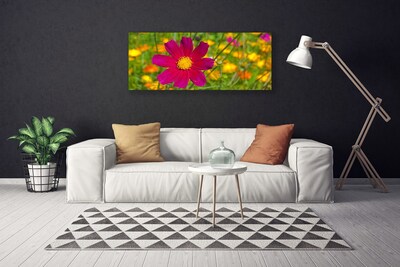 Foto quadro su tela Fiore, pianta, natura