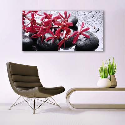 Foto quadro su tela Pietre di fiori Art