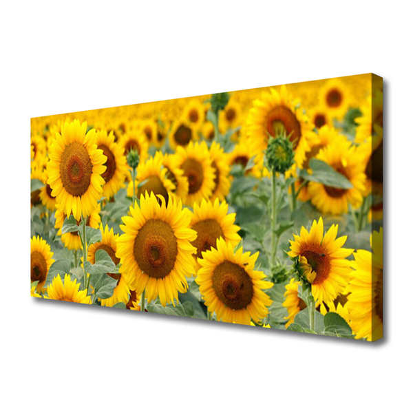 Quadro su tela Girasoli, piante, natura