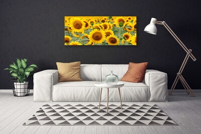 Quadro su tela Girasoli, piante, natura