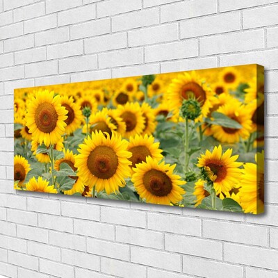 Quadro su tela Girasoli, piante, natura