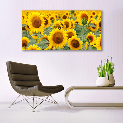 Quadro su tela Girasoli, piante, natura