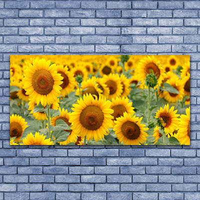 Quadro su tela Girasoli, piante, natura