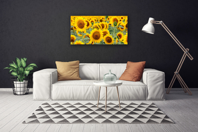 Quadro su tela Girasoli, piante, natura