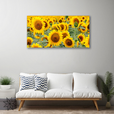 Quadro su tela Girasoli, piante, natura