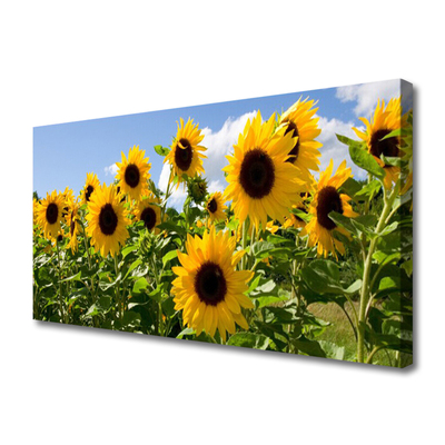 Quadro su tela Pianta di fiori di girasole