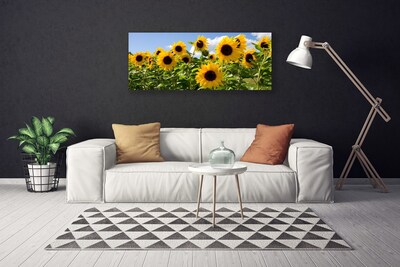 Quadro su tela Pianta di fiori di girasole