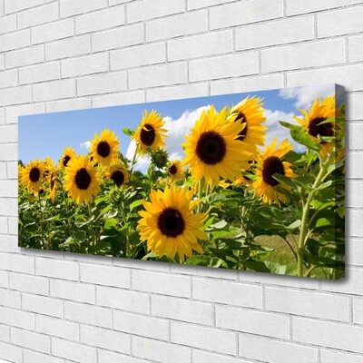 Quadro su tela Pianta di fiori di girasole