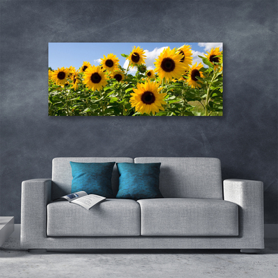 Quadro su tela Pianta di fiori di girasole