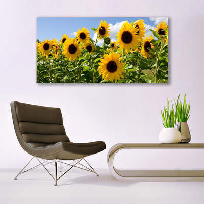 Quadro su tela Pianta di fiori di girasole