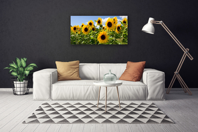 Quadro su tela Pianta di fiori di girasole