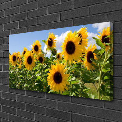 Quadro su tela Pianta di fiori di girasole