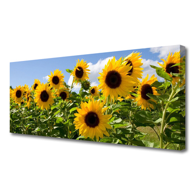 Quadro su tela Pianta di fiori di girasole