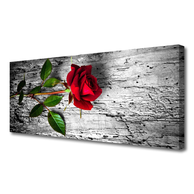 Quadro su tela Natura della pianta del fiore della rosa