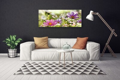 Quadro su tela Fiori, piante, natura