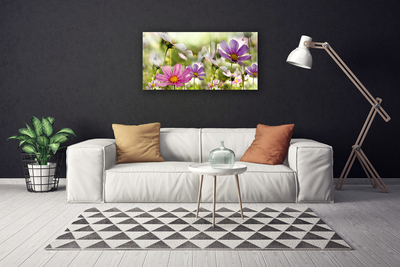 Quadro su tela Fiori, piante, natura