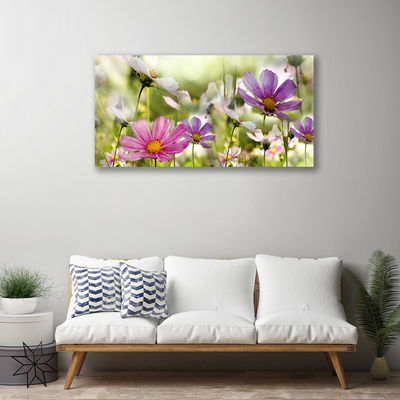 Quadro su tela Fiori, piante, natura