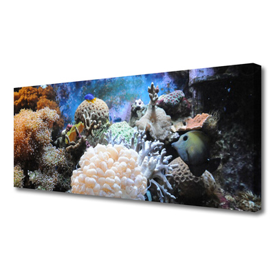 Quadro su tela Natura della barriera corallina
