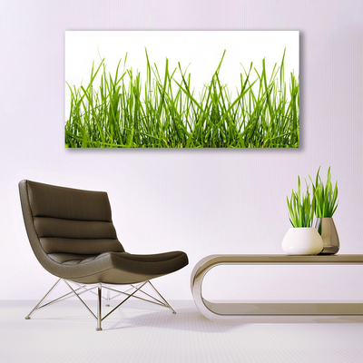 Quadro su tela Erba Natura Pianta