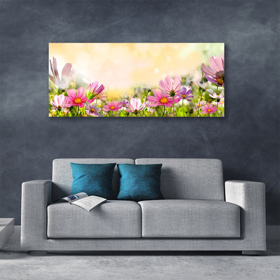 Quadro su tela Fiori, piante, natura