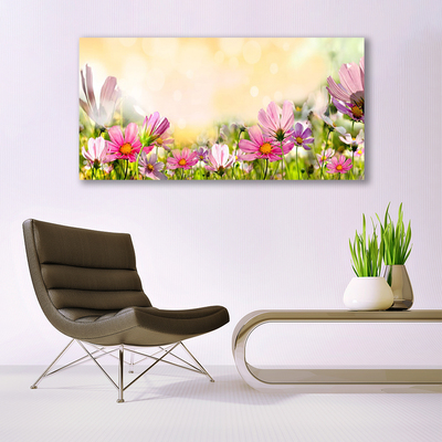 Quadro su tela Fiori, piante, natura