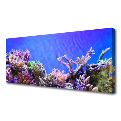 Quadro stampa su tela Natura della barriera corallina