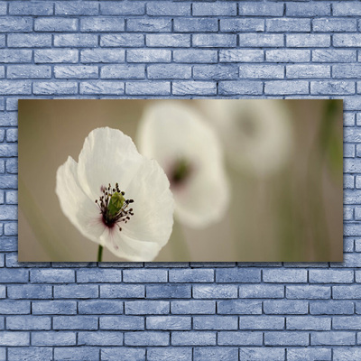 Quadro su tela Fiore, pianta, natura