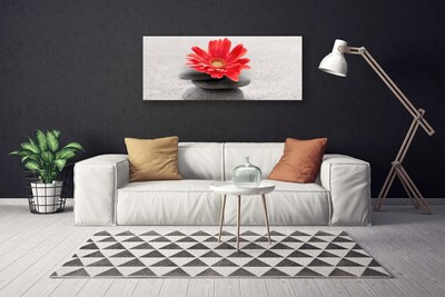 Quadro su tela Fiore di gerbera