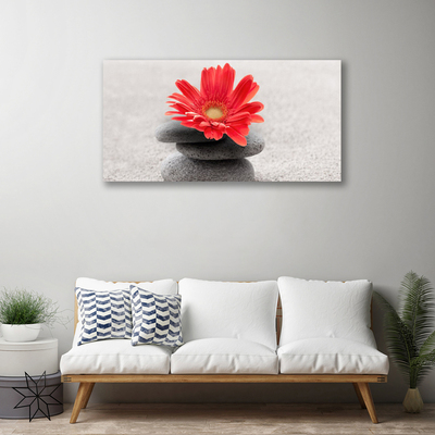 Quadro su tela Fiore di gerbera