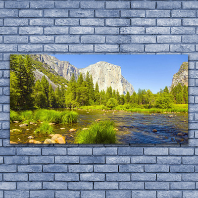 Quadro su tela Natura della foresta della montagna del lago