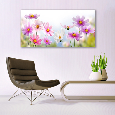 Quadro su tela Fiori, piante, natura