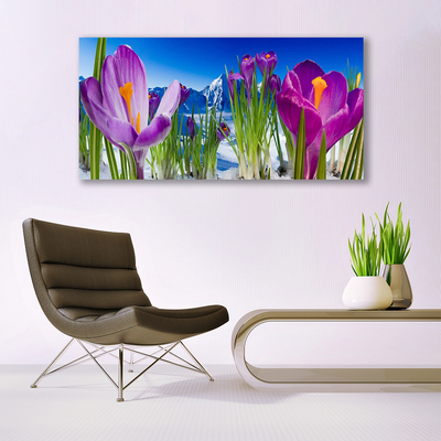 Quadro su tela Fiori, piante, natura