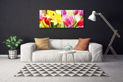 Quadro stampa su tela Fiori, piante, natura